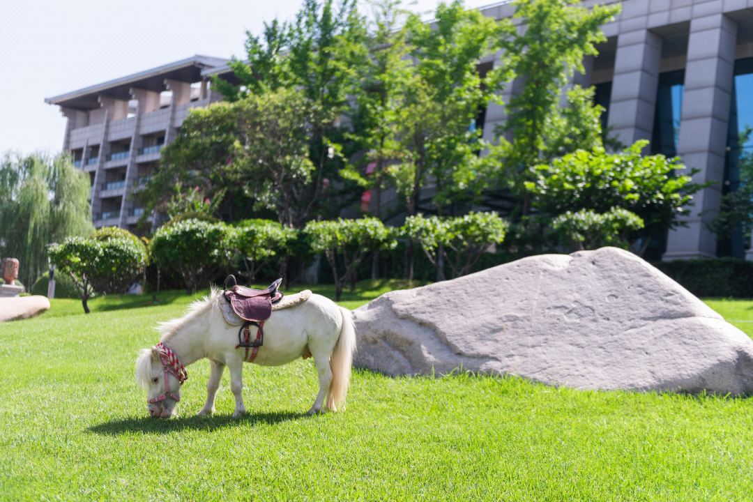 首页| 9001cc金沙集团以诚为本官网