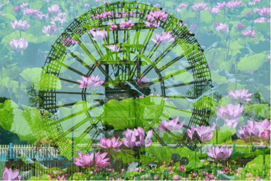 首页| 9001cc金沙集团以诚为本官网