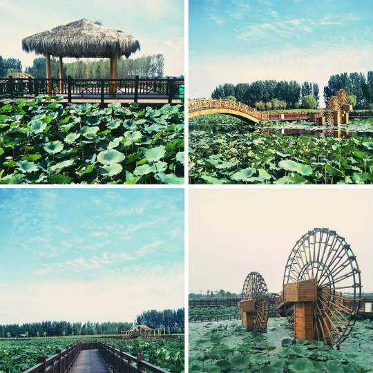 首页| 9001cc金沙集团以诚为本官网