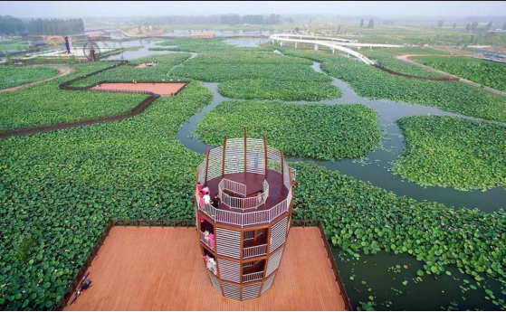 首页| 9001cc金沙集团以诚为本官网