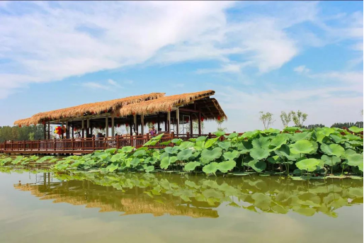 首页| 9001cc金沙集团以诚为本官网