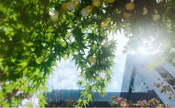 首页| 9001cc金沙集团以诚为本官网