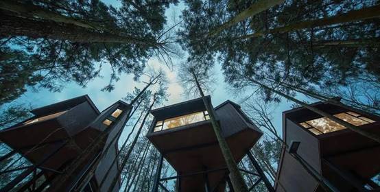 首页| 9001cc金沙集团以诚为本官网