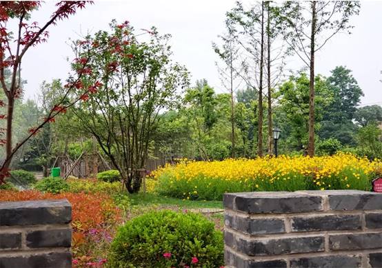 首页| 9001cc金沙集团以诚为本官网