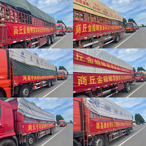 首页| 9001cc金沙集团以诚为本官网