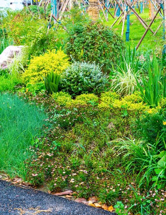 首页| 9001cc金沙集团以诚为本官网